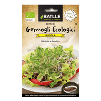 Rucola